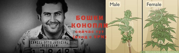 mix Мегион