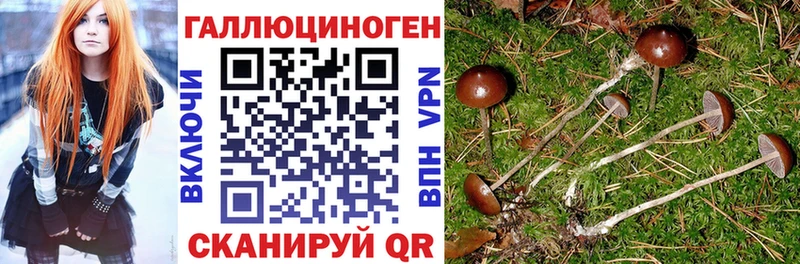 Купить  Краснодар  Псилоцибиновые грибы Magic Shrooms 